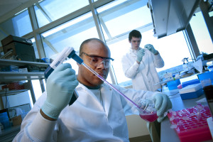 Graduate students work in the lab of Dr. Elizabeth Loboa