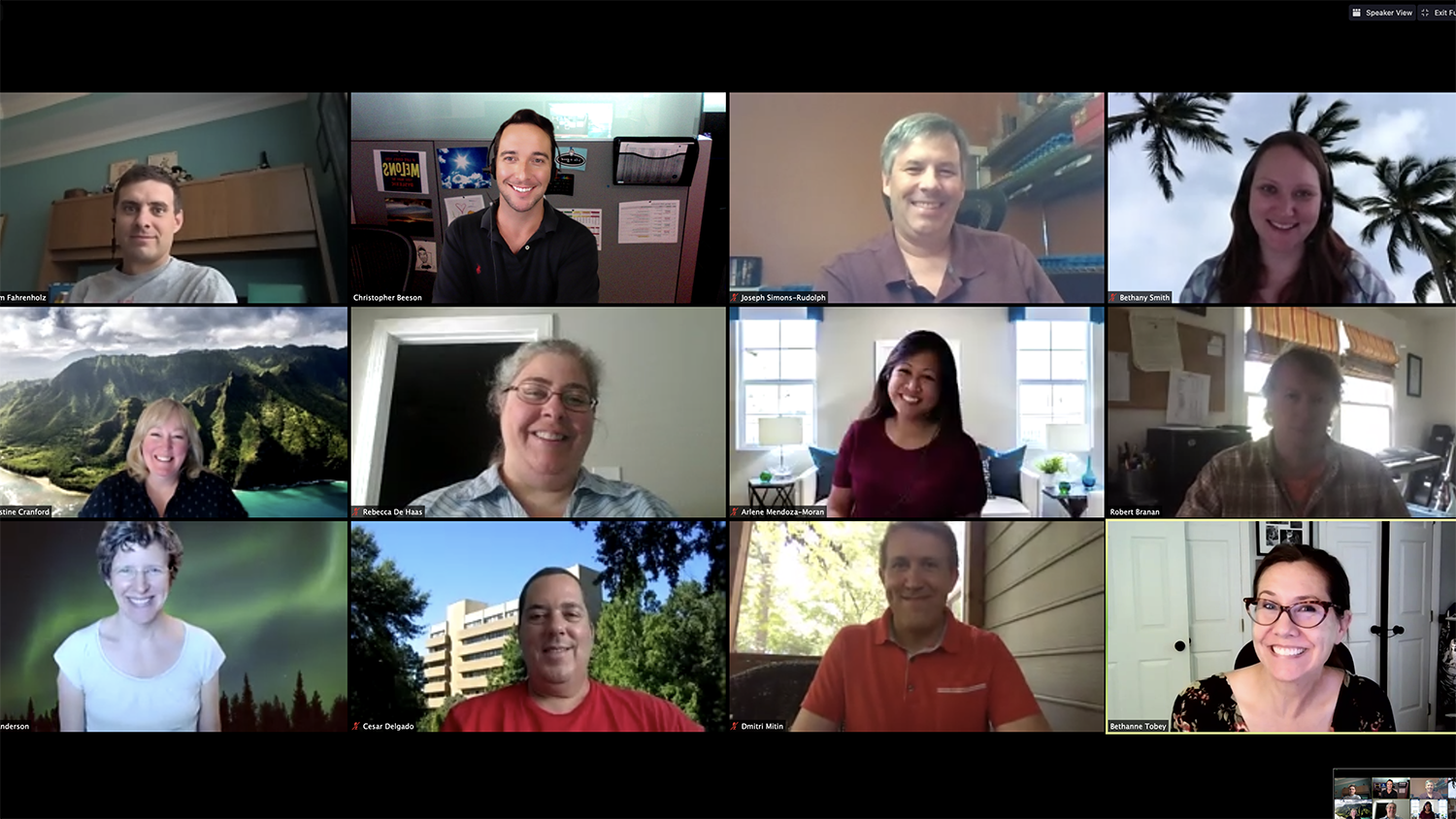Screenshot of the fall 2020 OCIP cohort on a Zoom meeting.,