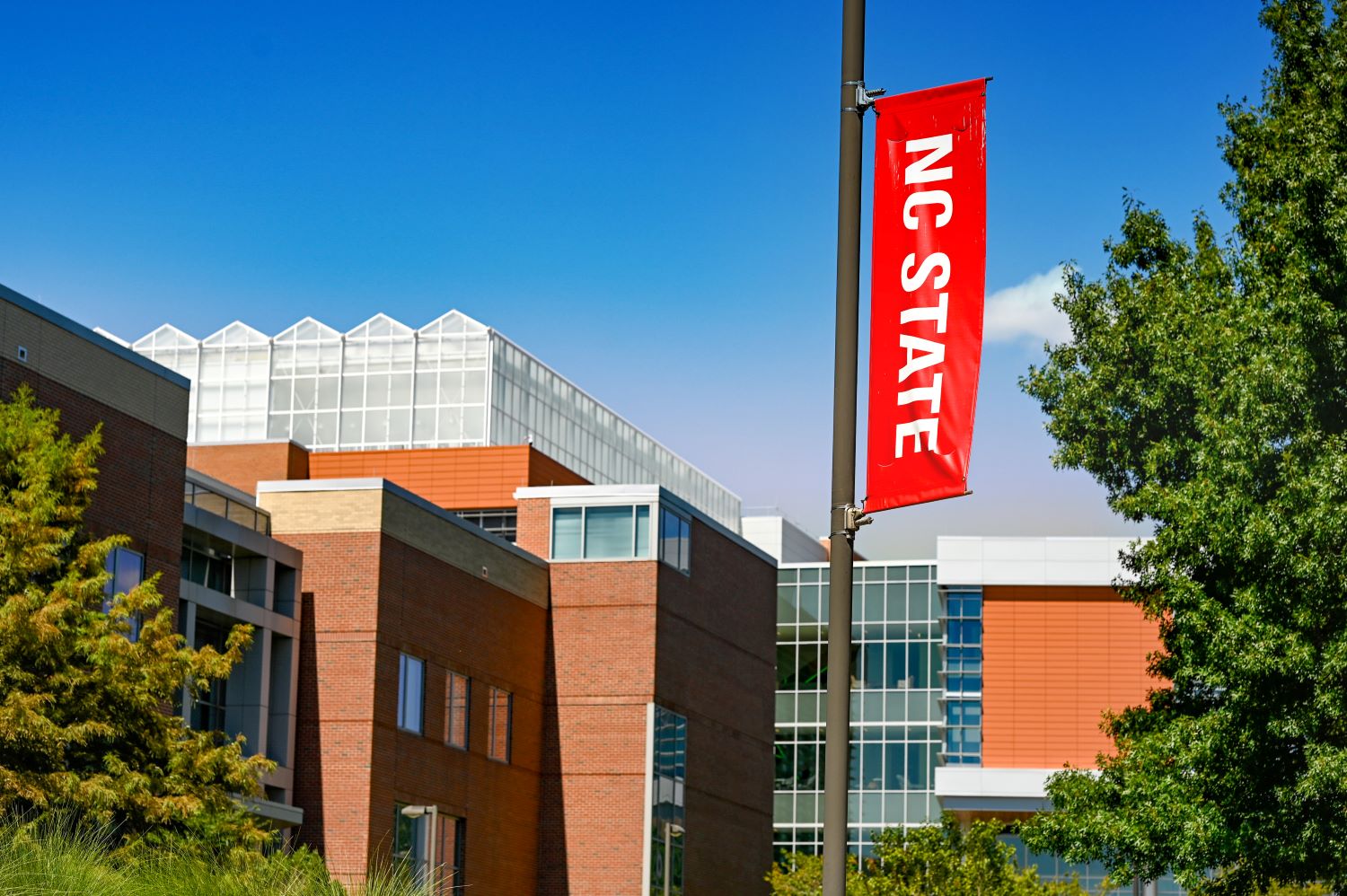 International Students NC State Online And Distance Education